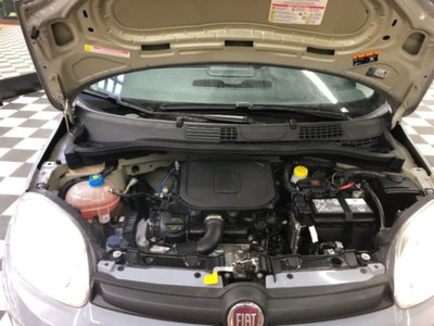 Fiat Panda 1.0 firefly hybrid s&s 70cv 5p.ti (18)