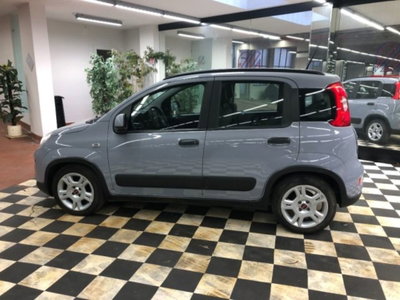 Fiat Panda 1.0 firefly hybrid s&s 70cv 5p.ti (7)