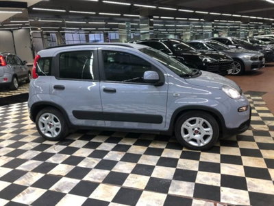 Fiat Panda 1.0 firefly hybrid s&s 70cv 5p.ti (8)