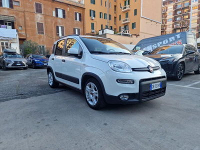 Fiat Panda 1.0 FireFly S&S Hybrid City Cross usata