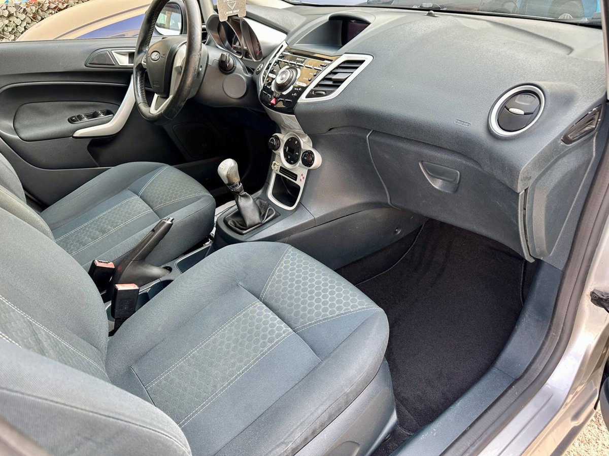 Ford Fiesta 1.4 TDCi 70CV 5 porte Titanium (11)