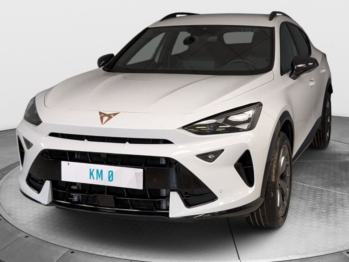 Cupra Formentor 1.5 hybrid 150cv dsg (3)