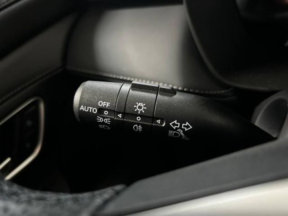 Mg ZS 1.5 hybrid+ Luxury auto (19)