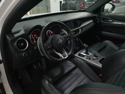 Alfa Romeo Stelvio Stelvio 2.2 Turbodiesel 210 CV AT8 Q4 Veloce (13)