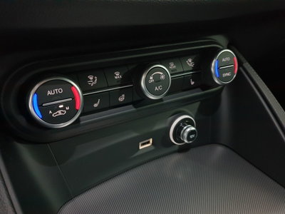 Alfa Romeo Stelvio Stelvio 2.2 Turbodiesel 210 CV AT8 Q4 Veloce (18)