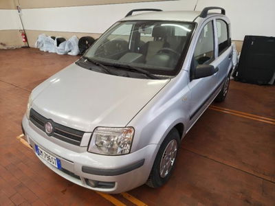 Fiat Panda 1.2 Dynamic usata