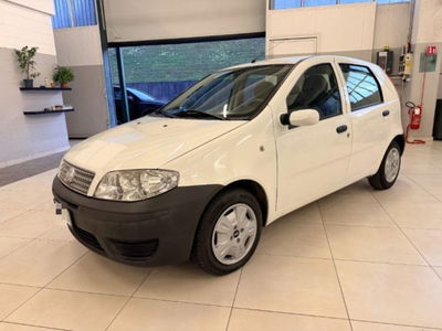 Fiat Punto Classic 1.3 MJT 16V 5 porte usata