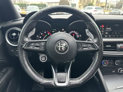 Alfa Romeo Stelvio Stelvio 2.2 Turbodiesel 210 CV AT8 Q4 Veloce (12)
