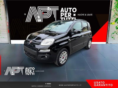 Fiat Panda 1.2 Lounge usata