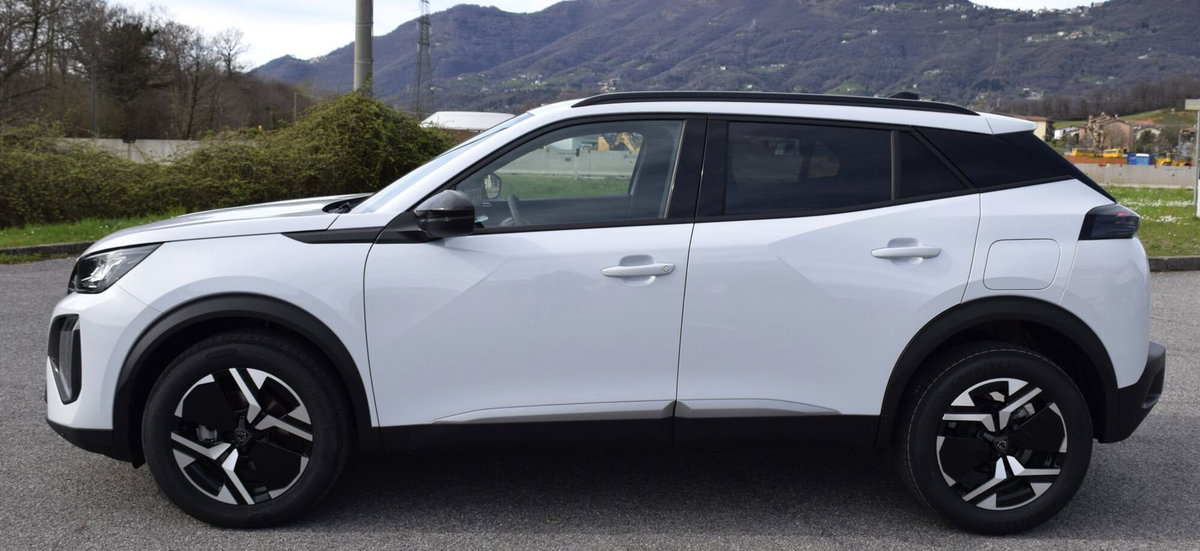 Peugeot 2008 1.2 puretech Active s&s 100cv (9)