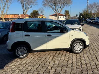 Fiat Pandina 1.0 firefly hybrid Pop s&s 65cv (4)