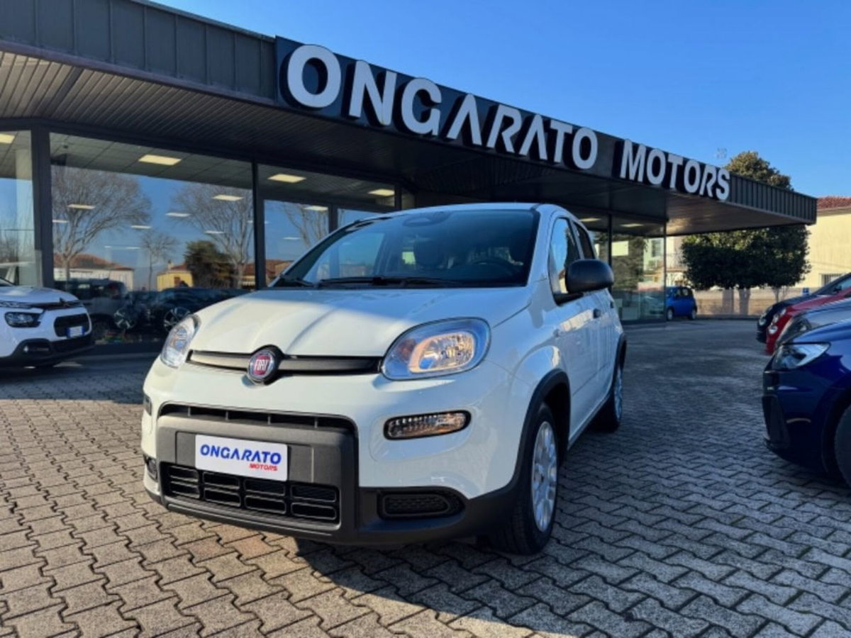 Fiat Pandina 1.0 firefly hybrid Icon s&s 65cv