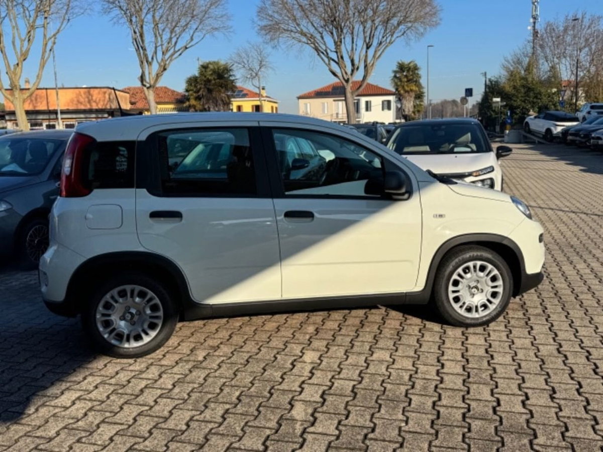 Fiat Pandina 1.0 firefly hybrid Icon s&s 65cv (4)
