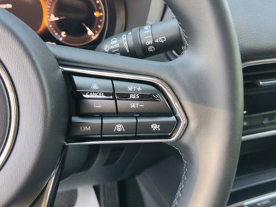 Mazda CX-60 3.3L e-Skyactiv D 249 CV M Hybrid AWD Homura (19)