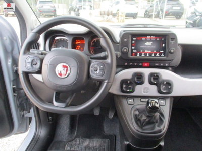 Fiat Panda 1.0 FireFly S&S Hybrid City Cross (8)