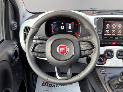 Fiat Panda Cross 1.0 firefly hybrid Cross s&s 70cv 5p.ti (18)
