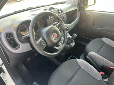 Fiat Panda 1.0 FireFly S&S Hybrid City Cross (10)