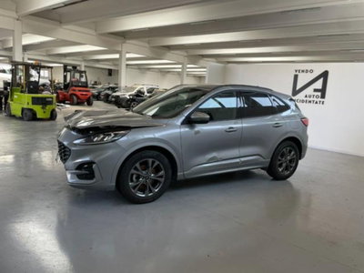 Ford Kuga 2.0 EcoBlue 120 CV aut. 2WD ST-Line X (4)