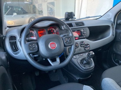 Fiat Panda 1.0 firefly hybrid s&s 70cv 5p.ti (10)