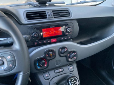 Fiat Panda 1.0 firefly hybrid s&s 70cv 5p.ti (11)