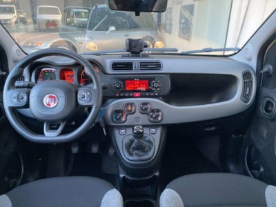 Fiat Panda 1.0 firefly hybrid s&s 70cv 5p.ti (12)