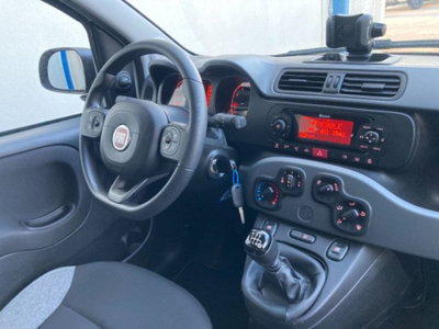 Fiat Panda 1.0 firefly hybrid s&s 70cv 5p.ti (13)