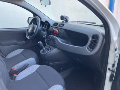 Fiat Panda 1.0 firefly hybrid s&s 70cv 5p.ti (14)