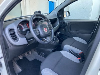 Fiat Panda 1.0 firefly hybrid s&s 70cv 5p.ti (8)