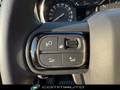 Citroen C3 Aircross 1.2 puretech Max s&s 110cv (20)