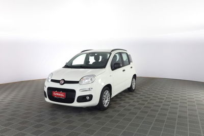 Fiat Panda 1.2 EasyPower Easy usata