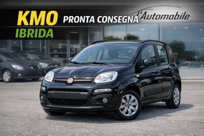 Fiat Panda 1.0 firefly hybrid Icon s&s 70cv nuova