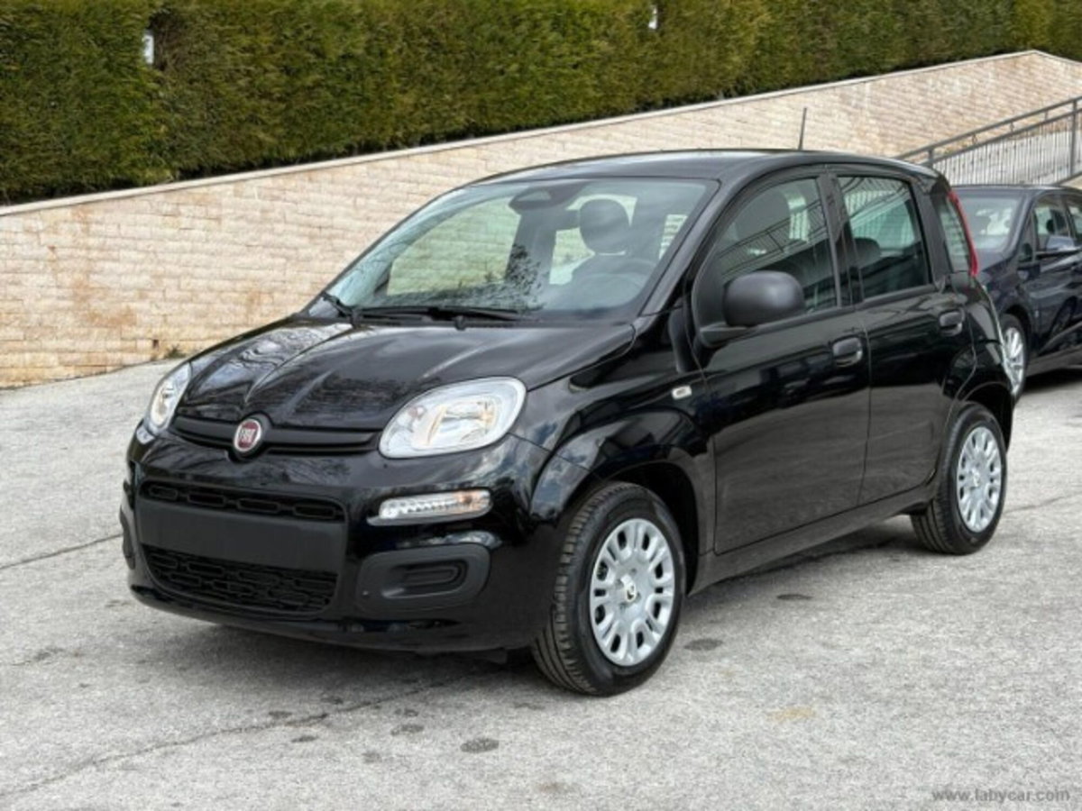 Fiat Panda 1.0 firefly hybrid Icon s&s 70cv (6)