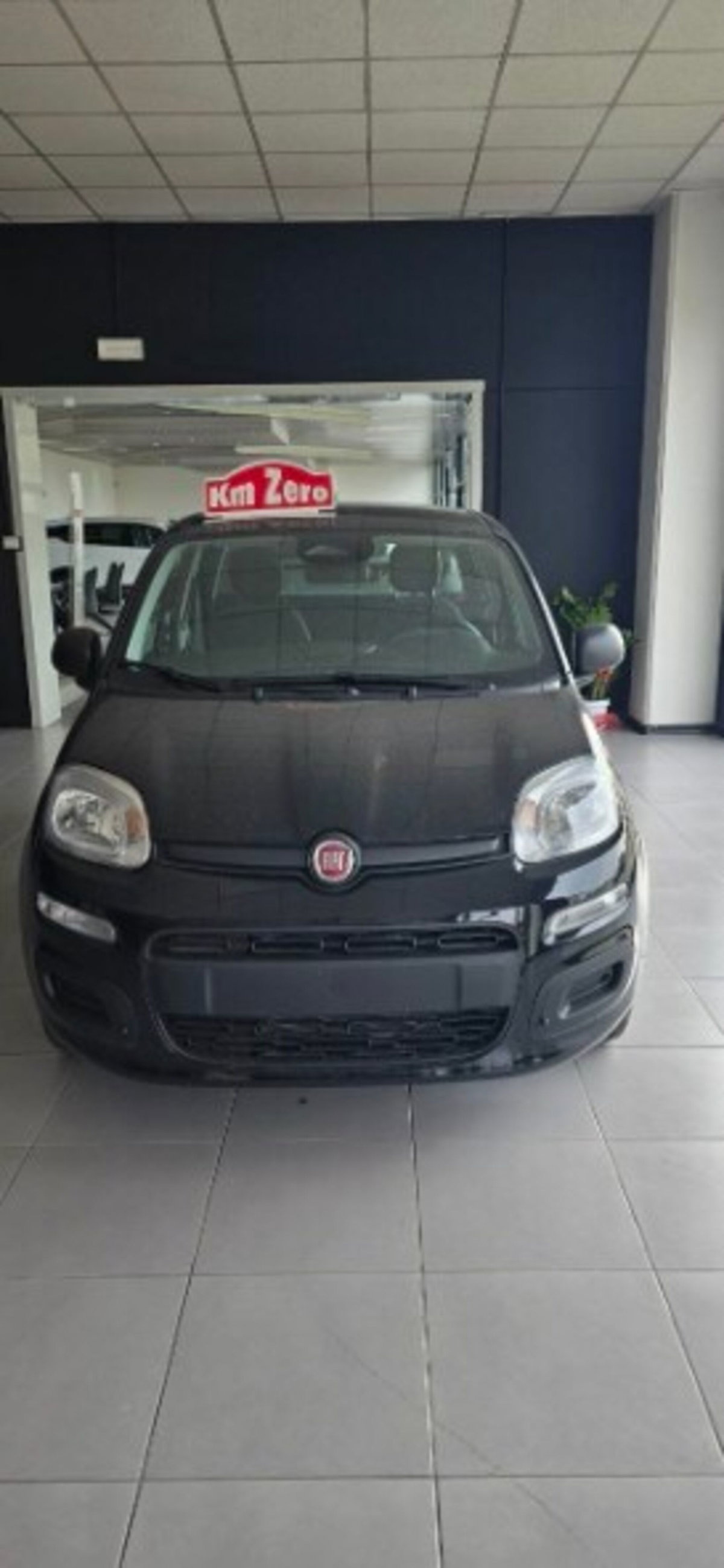 Fiat Panda 1.0 firefly hybrid Icon s&s 70cv (7)