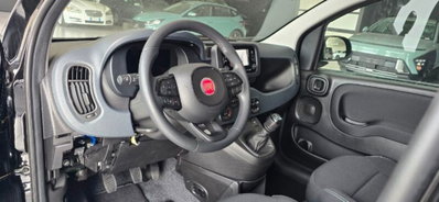 Fiat Panda 1.0 firefly hybrid Icon s&s 70cv (9)