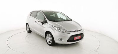 Ford Fiesta Ikon 1.4 TDCi 70CV 5 porte usata