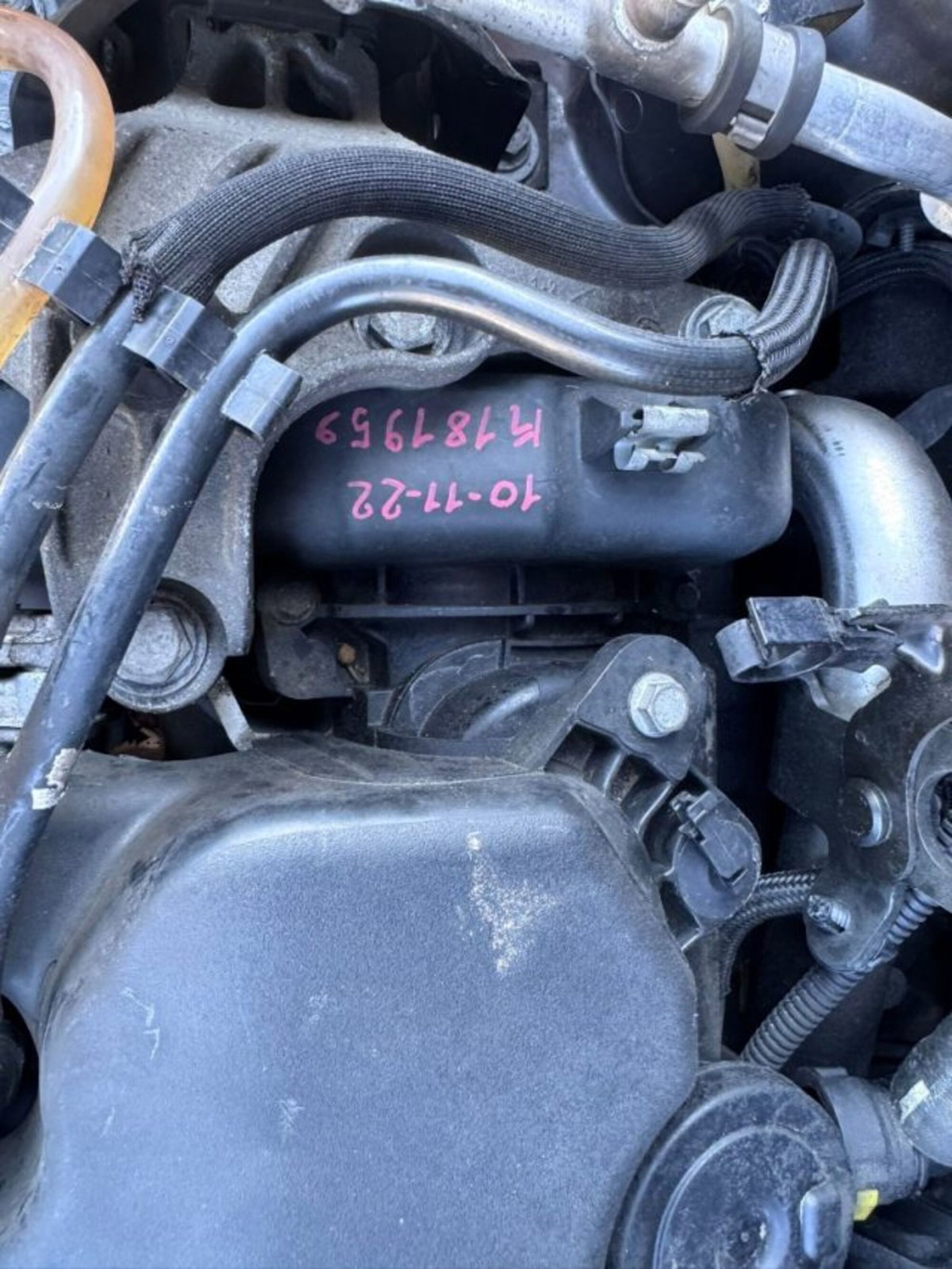 Renault Clio 1.5 dCi 8V 75CV 5 porte Live (19)