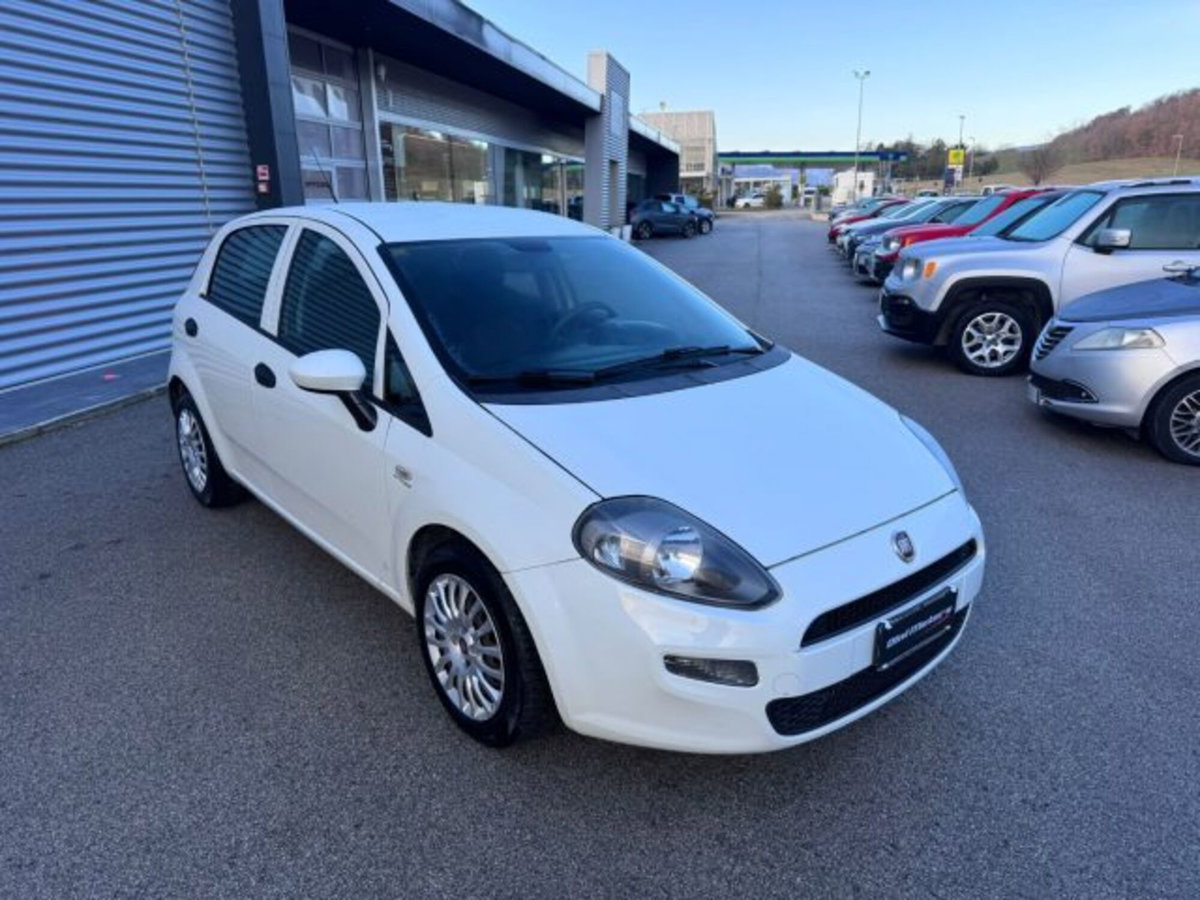 Fiat Punto 1.3 MJT 95CV S&S 5 porte Van Easy 4 posti (3)