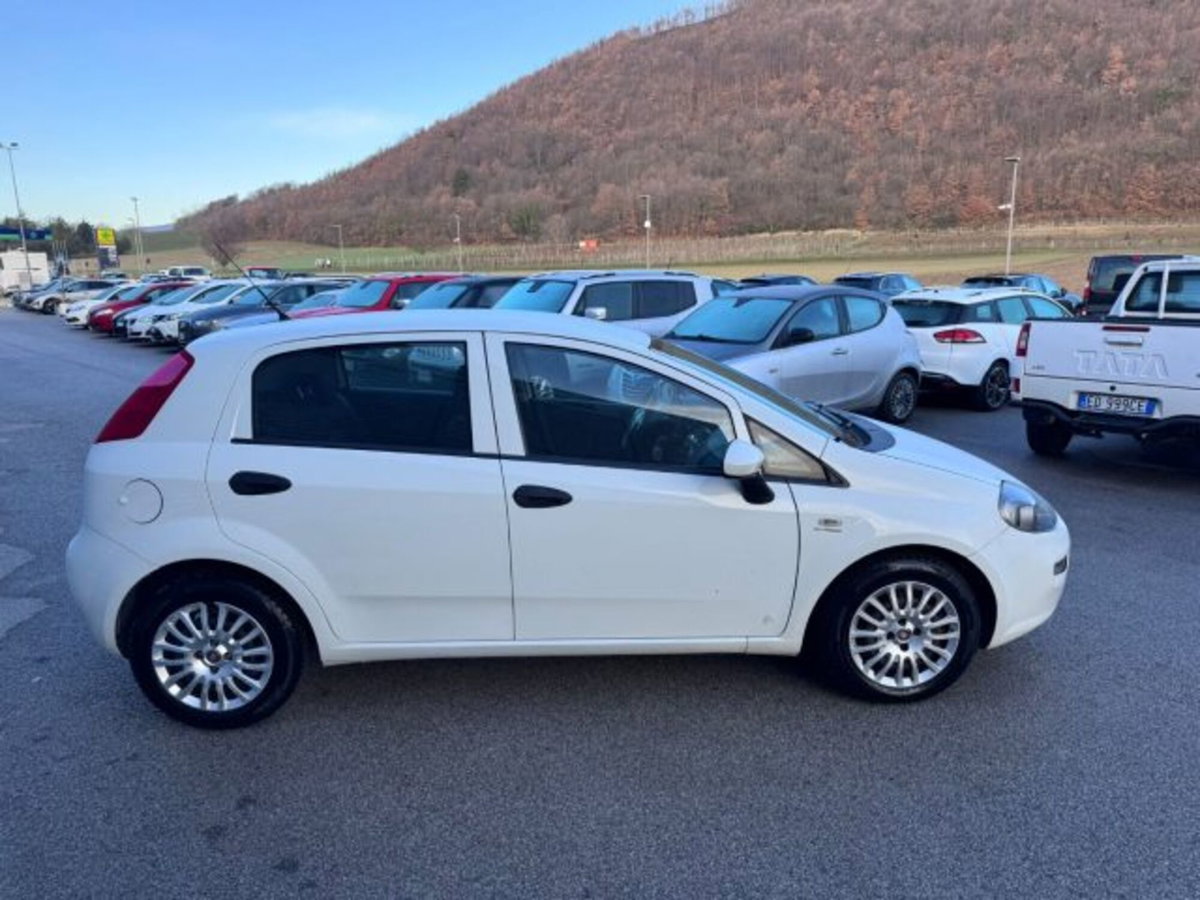 Fiat Punto 1.3 MJT 95CV S&S 5 porte Van Easy 4 posti (4)