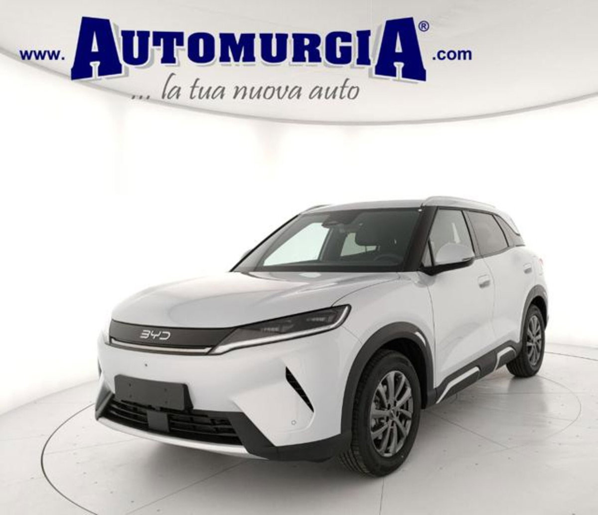 Byd Atto 2 DM-i 1.5 phev Boost 212cv (2)