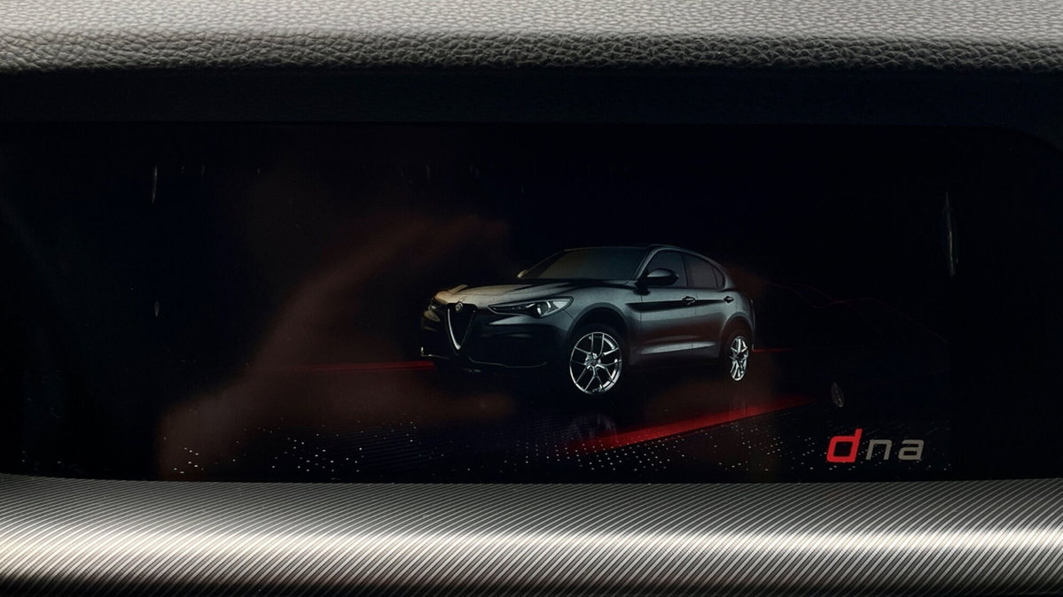 Alfa Romeo Stelvio Stelvio 2.2 Turbodiesel 190 CV AT8 Q4 Sprint (18)