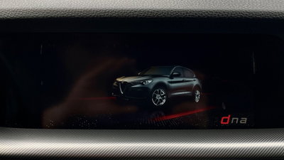 Alfa Romeo Stelvio Stelvio 2.2 Turbodiesel 190 CV AT8 Q4 Sprint (18)