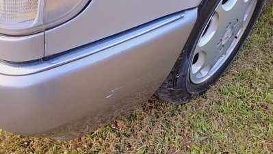 Mercedes-Benz CL 500 cat (12)