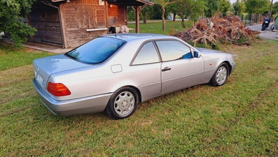 Mercedes-Benz CL 500 cat (13)