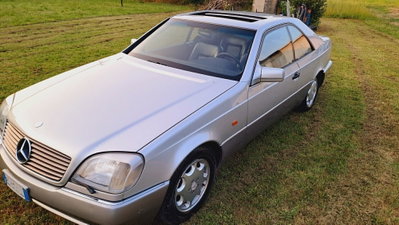 Mercedes-Benz CL 500 cat (15)