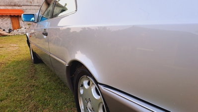 Mercedes-Benz CL 500 cat (18)