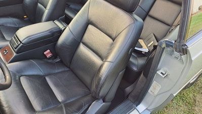 Mercedes-Benz CL 500 cat (19)