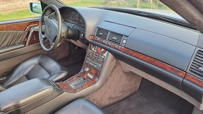 Mercedes-Benz CL 500 cat (20)