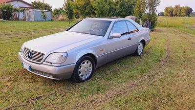 Mercedes-Benz CL 500 cat (4)