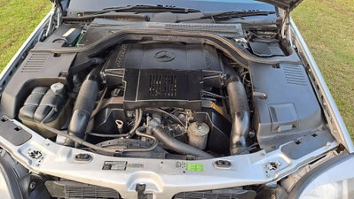 Mercedes-Benz CL 500 cat (5)