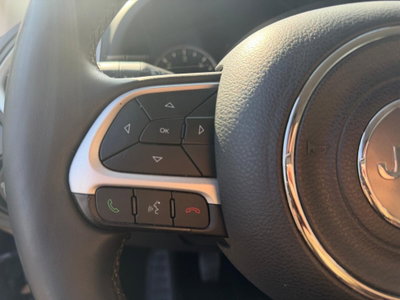 Jeep Renegade 1.6 Mjt 120 CV Longitude (15)